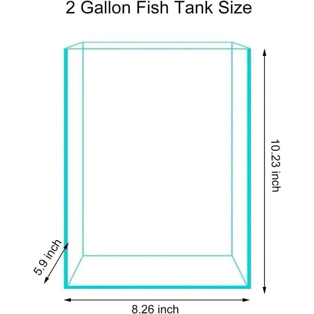 2 Gallon Glass Fish Tank Easy Maintain Small Aquarium Betta Snails Shrimp Plants